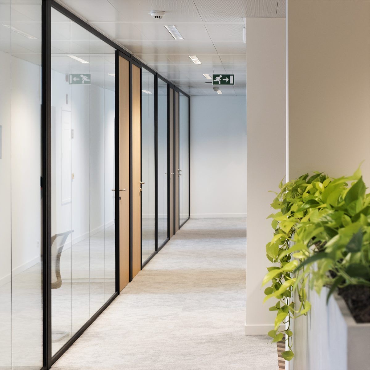 Aluminium Windows